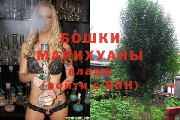 сатива Баксан