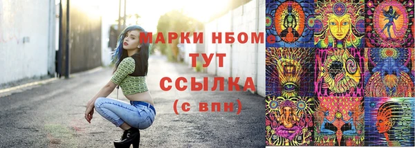 сатива Баксан