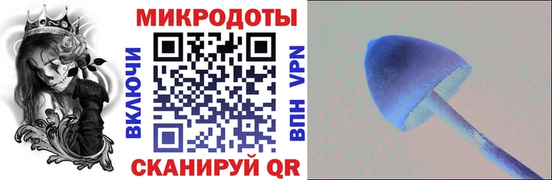 Псилоцибиновые грибы Psilocybine cubensis  Лагань 